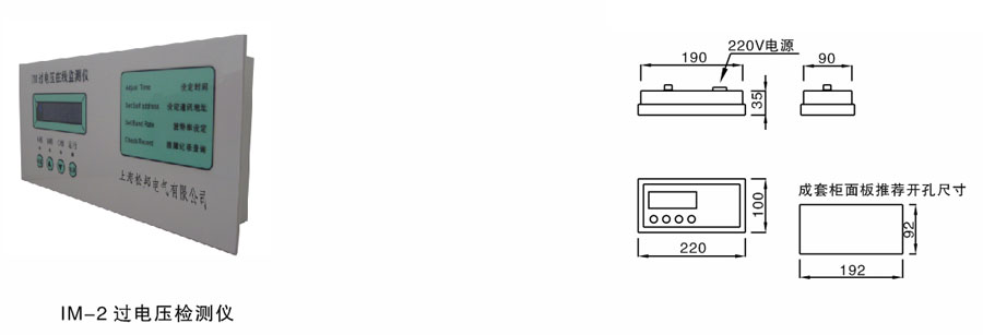 IM-2过电压检测仪